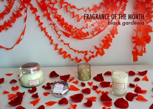 February Fragrance of The Month | Black Gardenia | the white dahlia